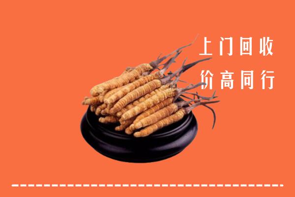 高价求购：岑巩县回收散虫草
