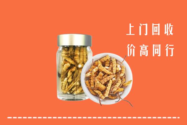 岑巩县回收冬虫夏草