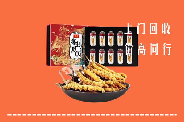 岑巩县回收虫草